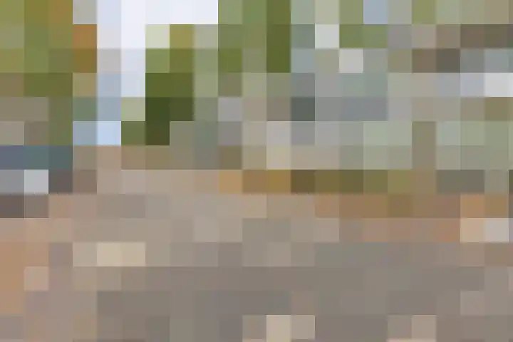 Luxemburgsestraat 8 Budel thumbnail 25