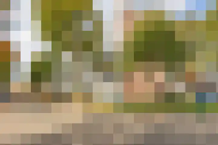 Luxemburgsestraat 8 Budel thumbnail 26