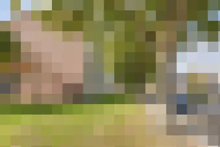 Luxemburgsestraat 8 Budel thumbnail 27