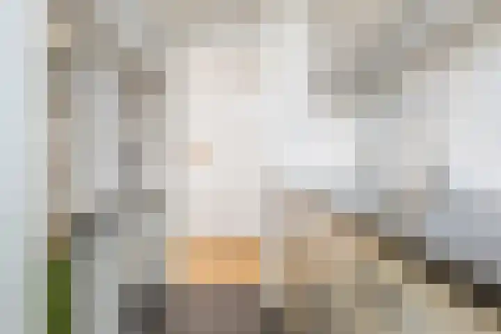 Luxemburgsestraat 8 Budel thumbnail 4