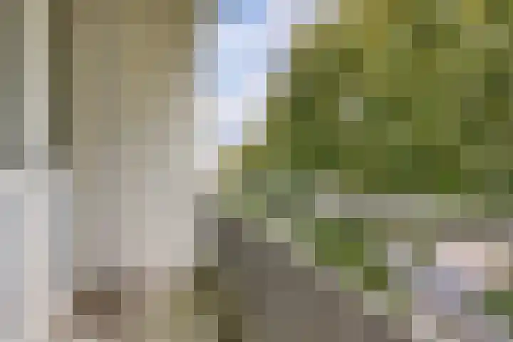 Luxemburgsestraat 8 Budel thumbnail 7