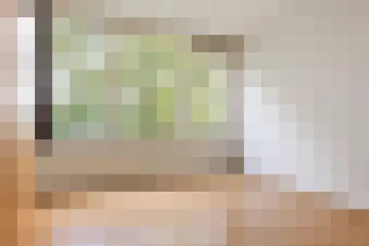 Luxemburgsestraat 8 Budel thumbnail 9