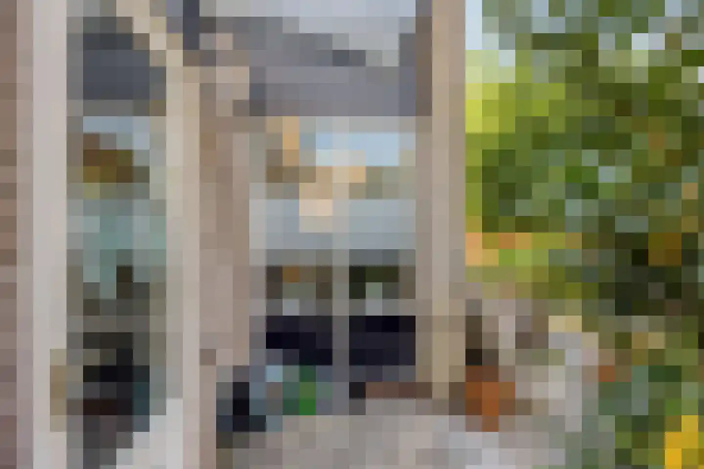 Luxemburgsezoom 11 Nieuwerkerk aan den IJssel thumbnail 12