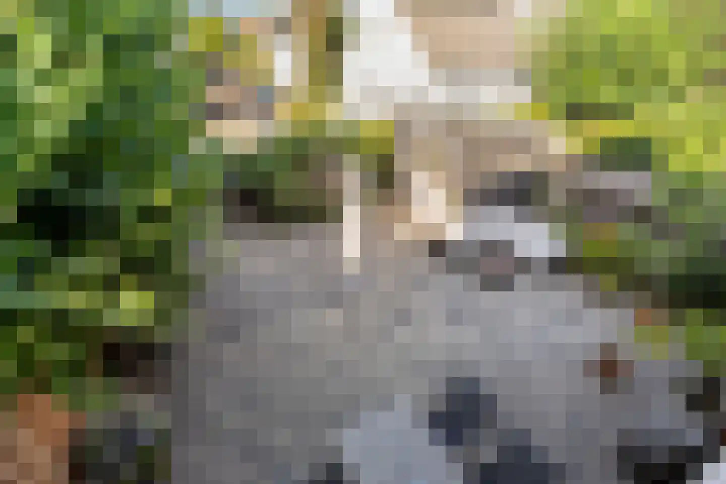 Luxemburgsezoom 11 Nieuwerkerk aan den IJssel thumbnail 31