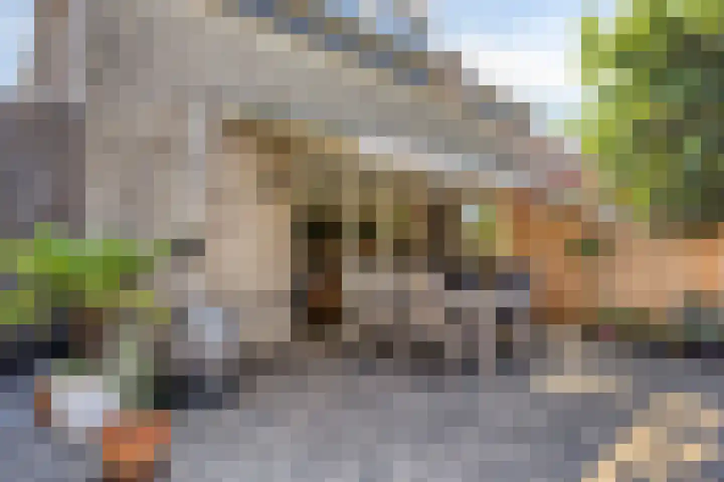 Luxemburgsezoom 11 Nieuwerkerk aan den IJssel thumbnail 32