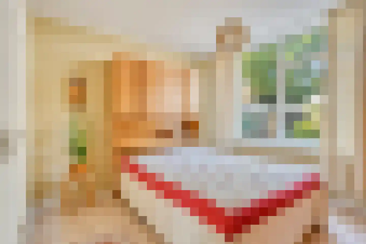Luxemburgstraat 20 Geleen thumbnail 20