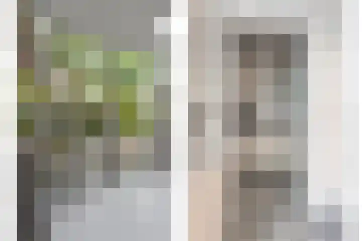 Luxemburgstraat 27 Kaatsheuvel thumbnail 35