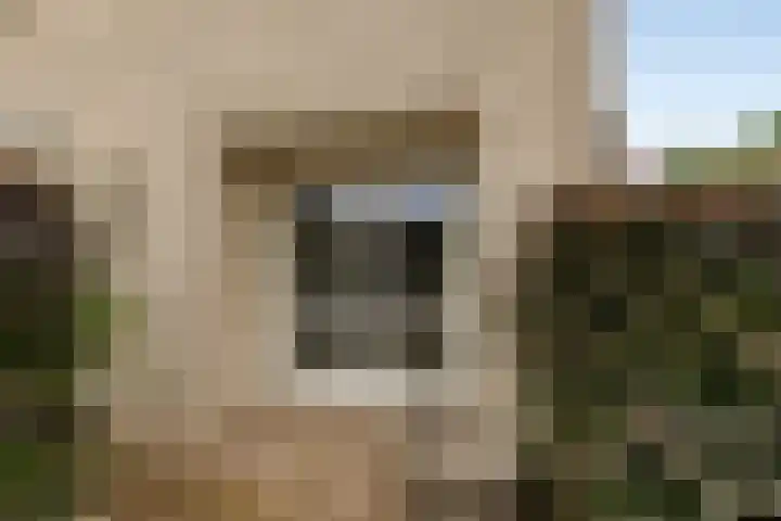 Luxemburgstraat 27 Kaatsheuvel thumbnail 4
