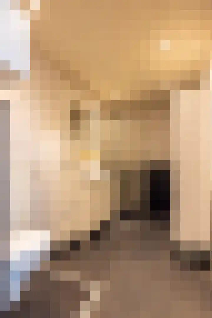Luxemburgstraat 4 Geleen thumbnail 22