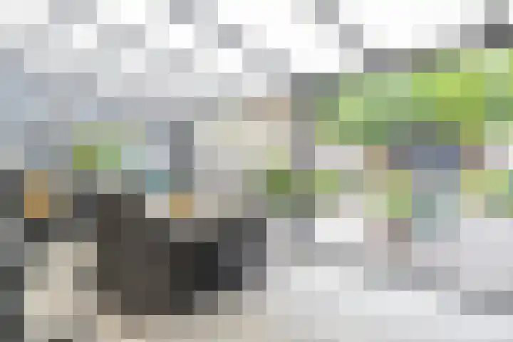 Luxemburgstraat 4 Geleen thumbnail 27