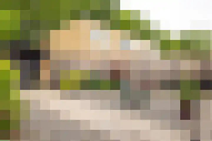 Luxemburgstraat 4 Geleen thumbnail 30