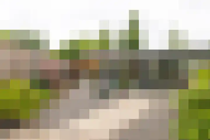 Luxemburgstraat 4 Geleen thumbnail 32