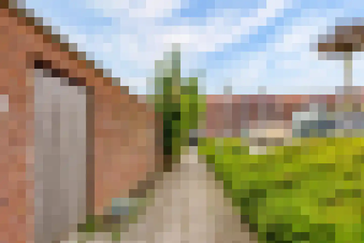Luxemburgstraat 65 Almere thumbnail 44