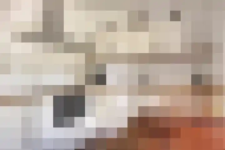 Luxwoudestraat 15 Tilburg thumbnail 16