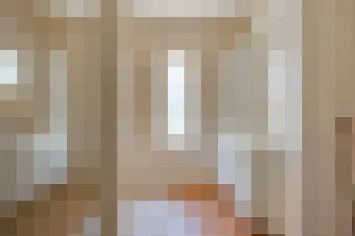 Luxwoudestraat 15 Tilburg thumbnail 23