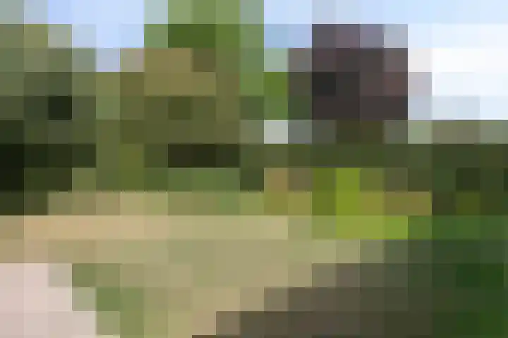 Luxwoudestraat 15 Tilburg thumbnail 33