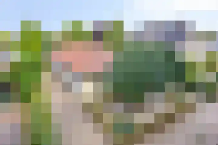 Luxwoudestraat 15 Tilburg thumbnail 36