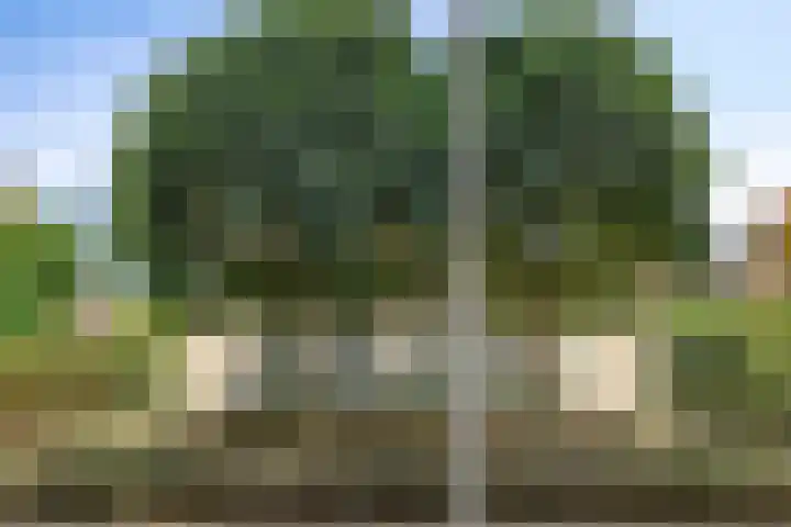 Luxwoudestraat 15 Tilburg thumbnail 37