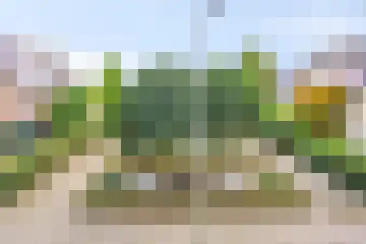 Luxwoudestraat 15 Tilburg thumbnail 38