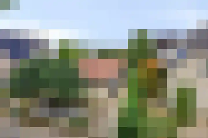 Luxwoudestraat 15 Tilburg thumbnail 39