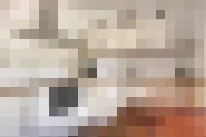 Luxwoudestraat 15 Tilburg thumbnail 4