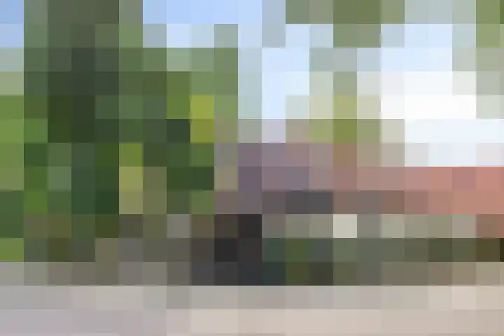 Luxwoudestraat 15 Tilburg thumbnail 44