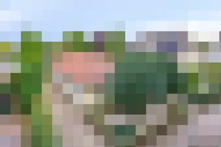 Luxwoudestraat 15 Tilburg thumbnail 5