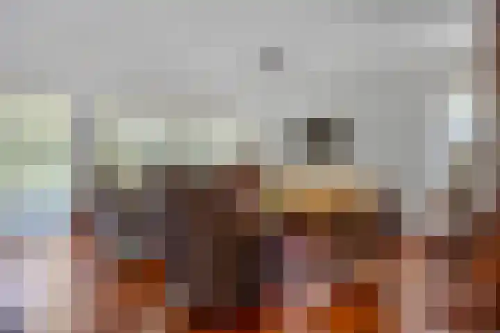 Luxwoudestraat 15 Tilburg thumbnail 9