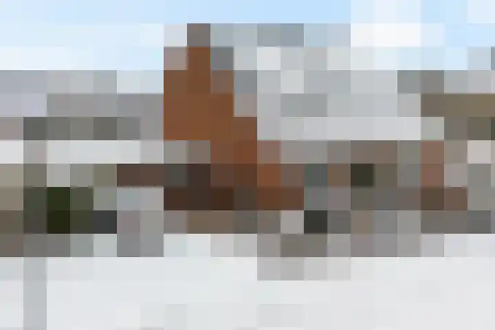 Luyckenstraat 12 Zuidbroek thumbnail 5