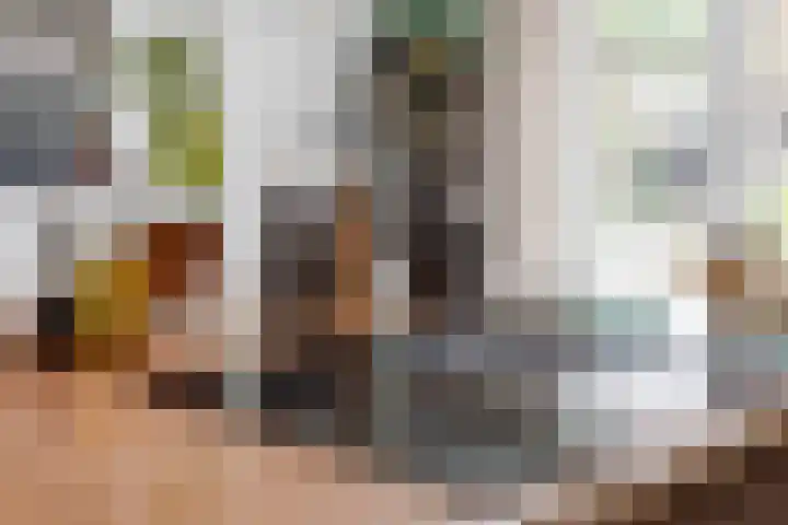 Luyckershofke 14 A Rosmalen thumbnail 10