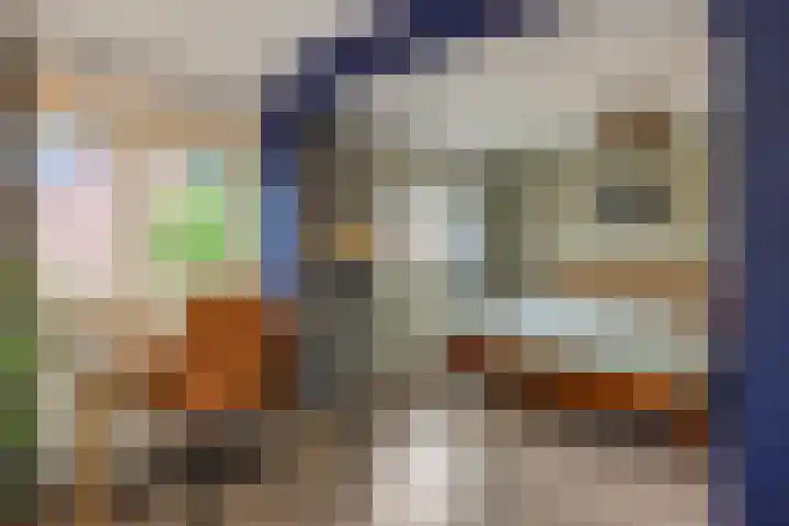 Luyckershofke 14 A Rosmalen thumbnail 16