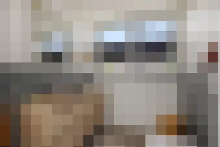 Luyckershofke 14 A Rosmalen thumbnail 21