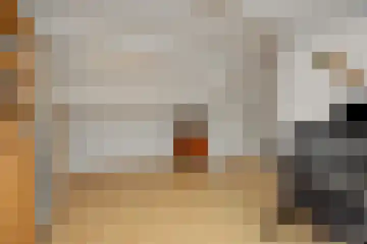 Luyckershofke 14 A Rosmalen thumbnail 27