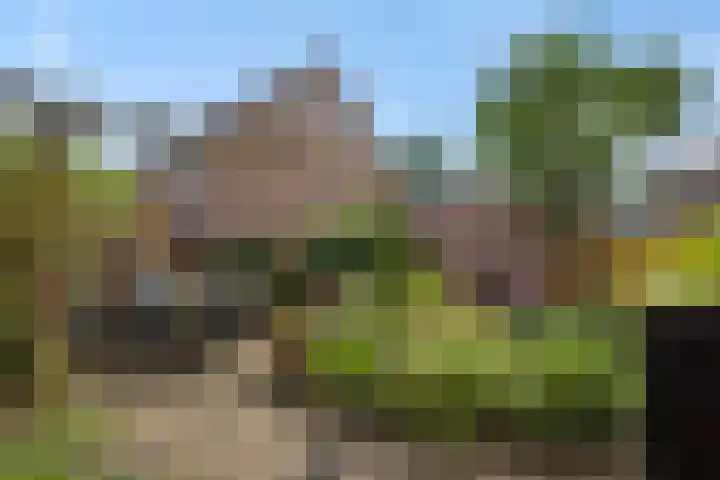 Luyckershofke 14 A Rosmalen thumbnail 28