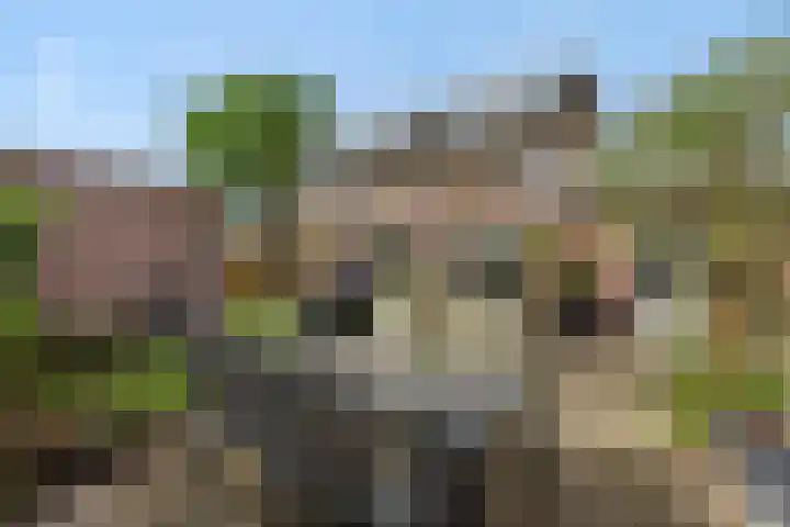 Luyckershofke 14 A Rosmalen thumbnail 29