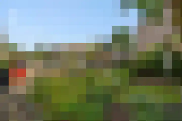 Luyckershofke 14 A Rosmalen thumbnail 32