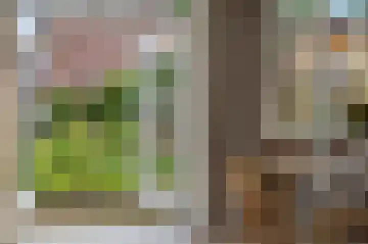 Luyckershofke 14 A Rosmalen thumbnail 8