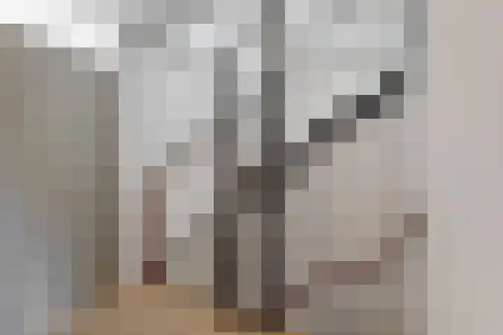 Luykendreef 10 Leiderdorp thumbnail 17