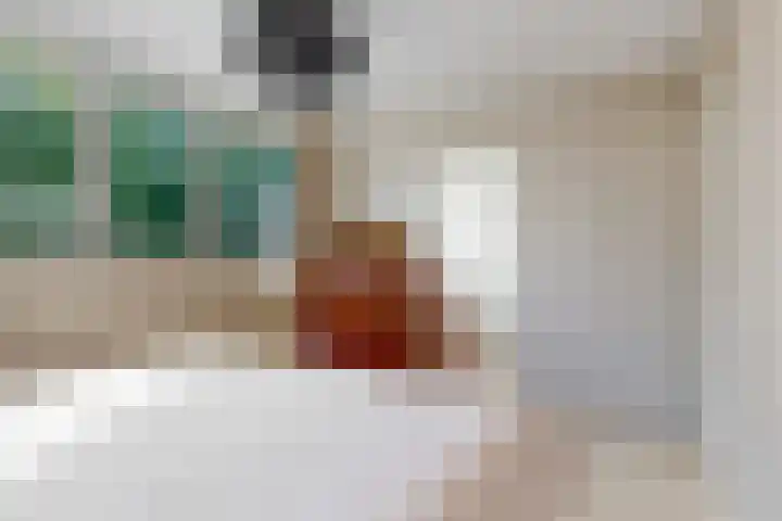 Luykendreef 10 Leiderdorp thumbnail 20