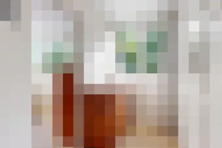 Luykendreef 10 Leiderdorp thumbnail 21