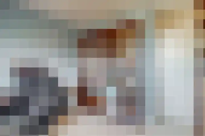 Luykendreef 10 Leiderdorp thumbnail 26