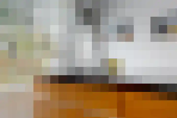 Luykendreef 14 Leiderdorp thumbnail 14