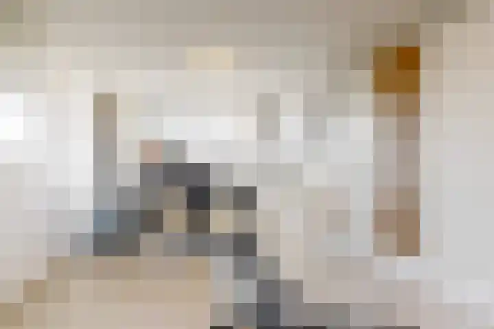 Luykendreef 14 Leiderdorp thumbnail 35