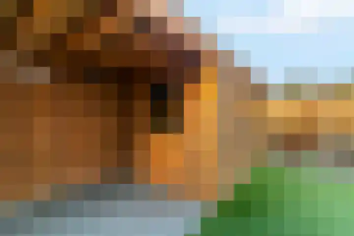Luykendreef 14 Leiderdorp thumbnail 44