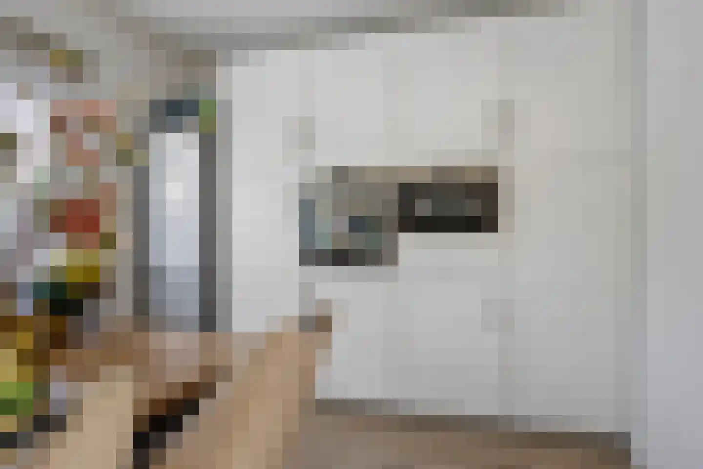 Luykendreef 38 Leiderdorp thumbnail 13