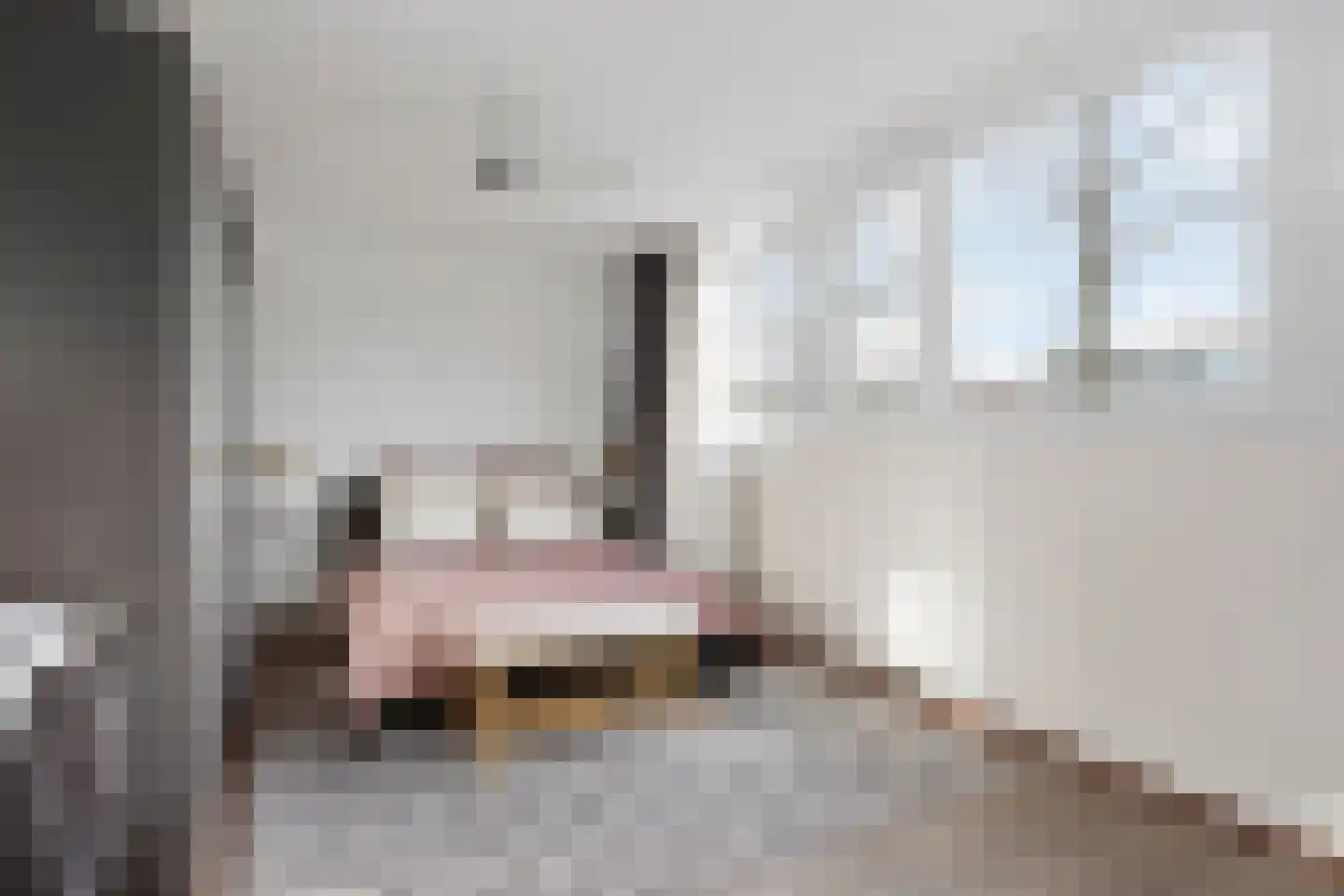 Luykendreef 38 Leiderdorp thumbnail 15