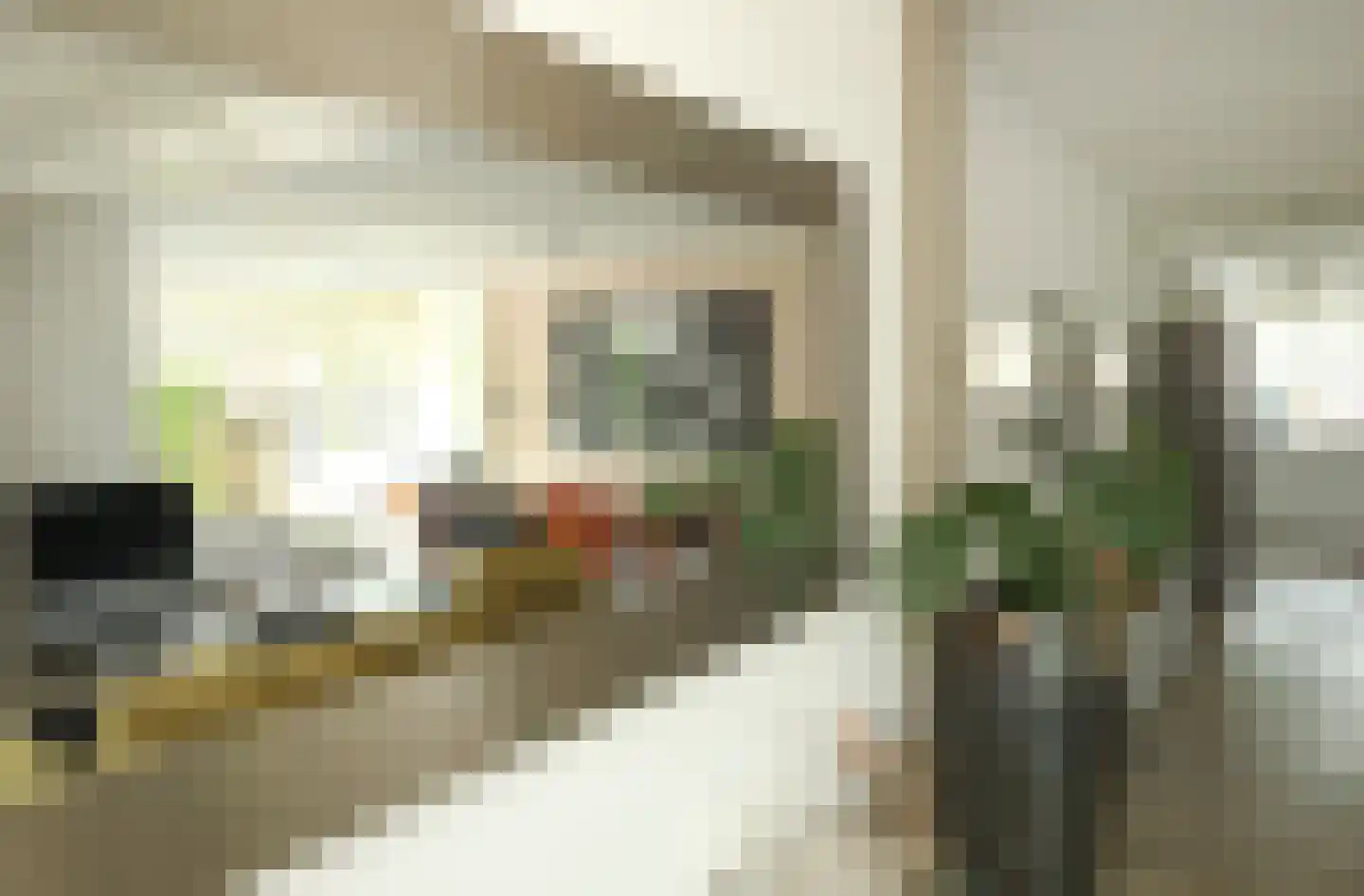 Luykenhof 18 Doesburg thumbnail 17