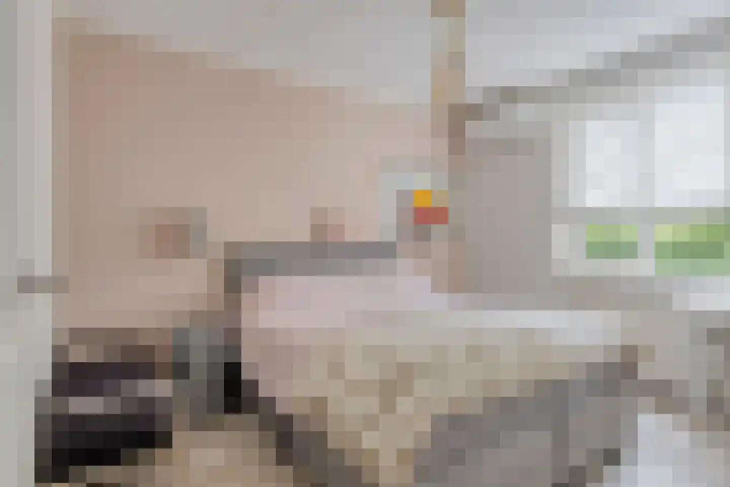 Luykenhof 18 Doesburg thumbnail 22