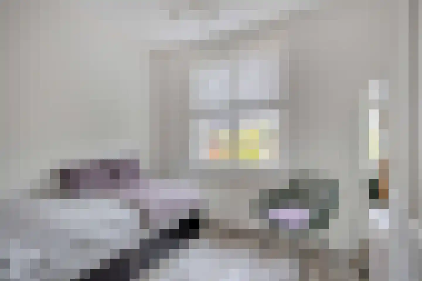 Luykenhof 18 Doesburg thumbnail 24