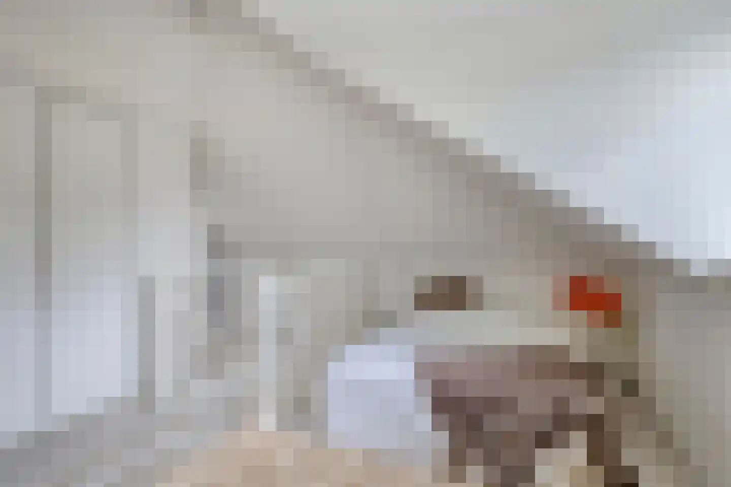 Luykenhof 18 Doesburg thumbnail 34